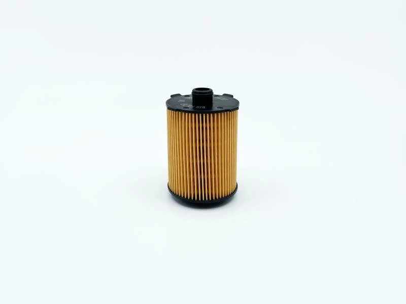 Фильтр масляный (вставка) BIG Filter GB-1489EC