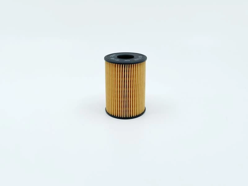Фильтр масляный (корпусной) BIG Filter GB-1495