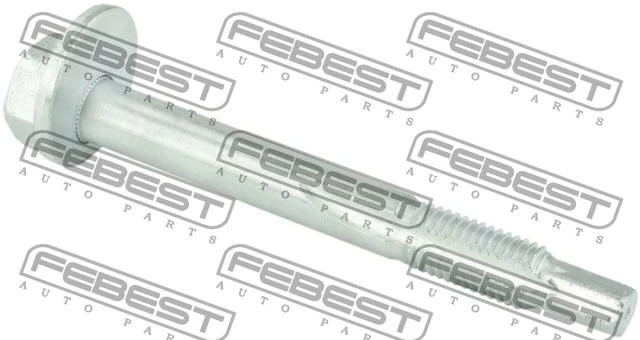 Болт с эксцентриком FEBEST 2929-002