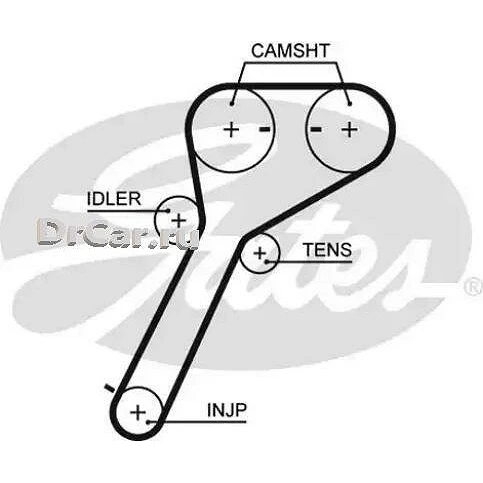 Ремень ГРМ GATES 5651XS