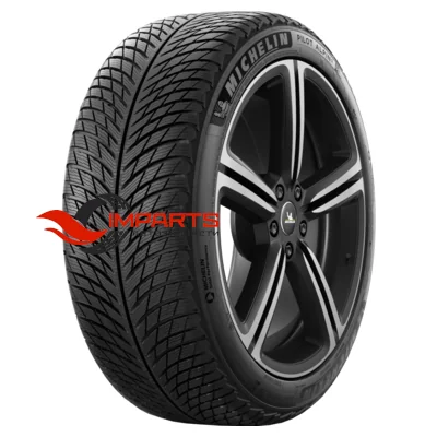 Шина Michelin Pilot Alpin 5 255/40 R19 100V